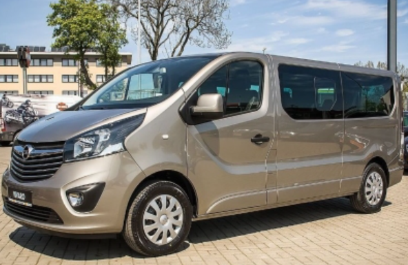 goldi wynajem busa